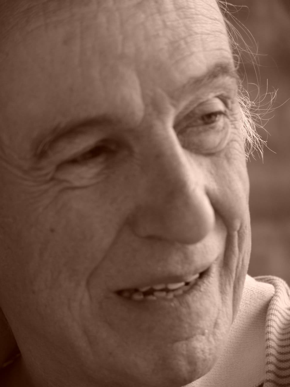 Obra de Heriberto Zorrilla